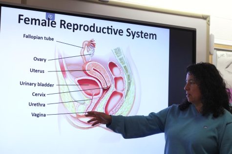 Health Class Must Address Sexual Health Too