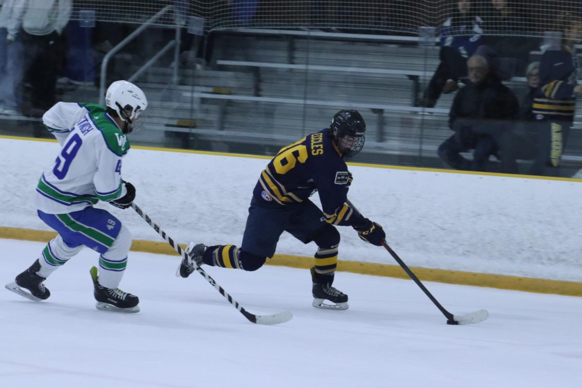 Barons Ice Hockey dominates the competition