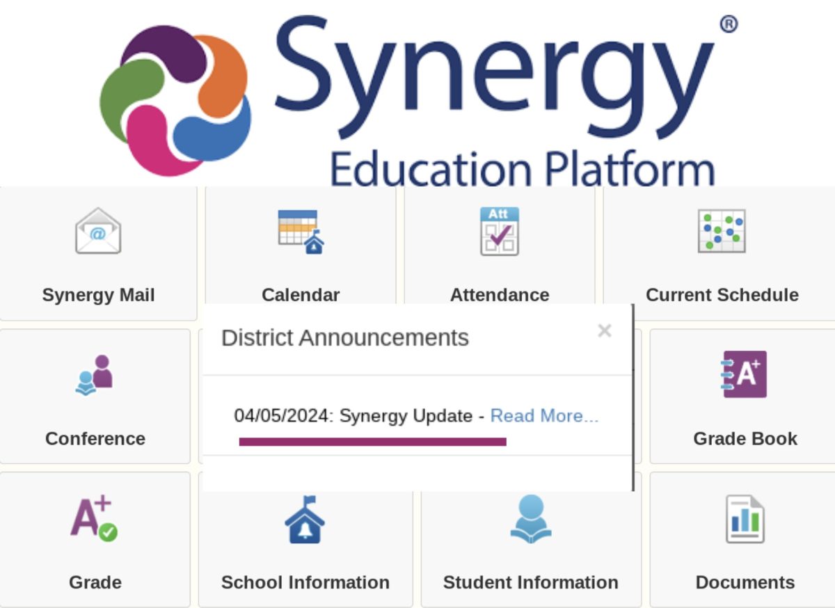 Countywide Synergy Update