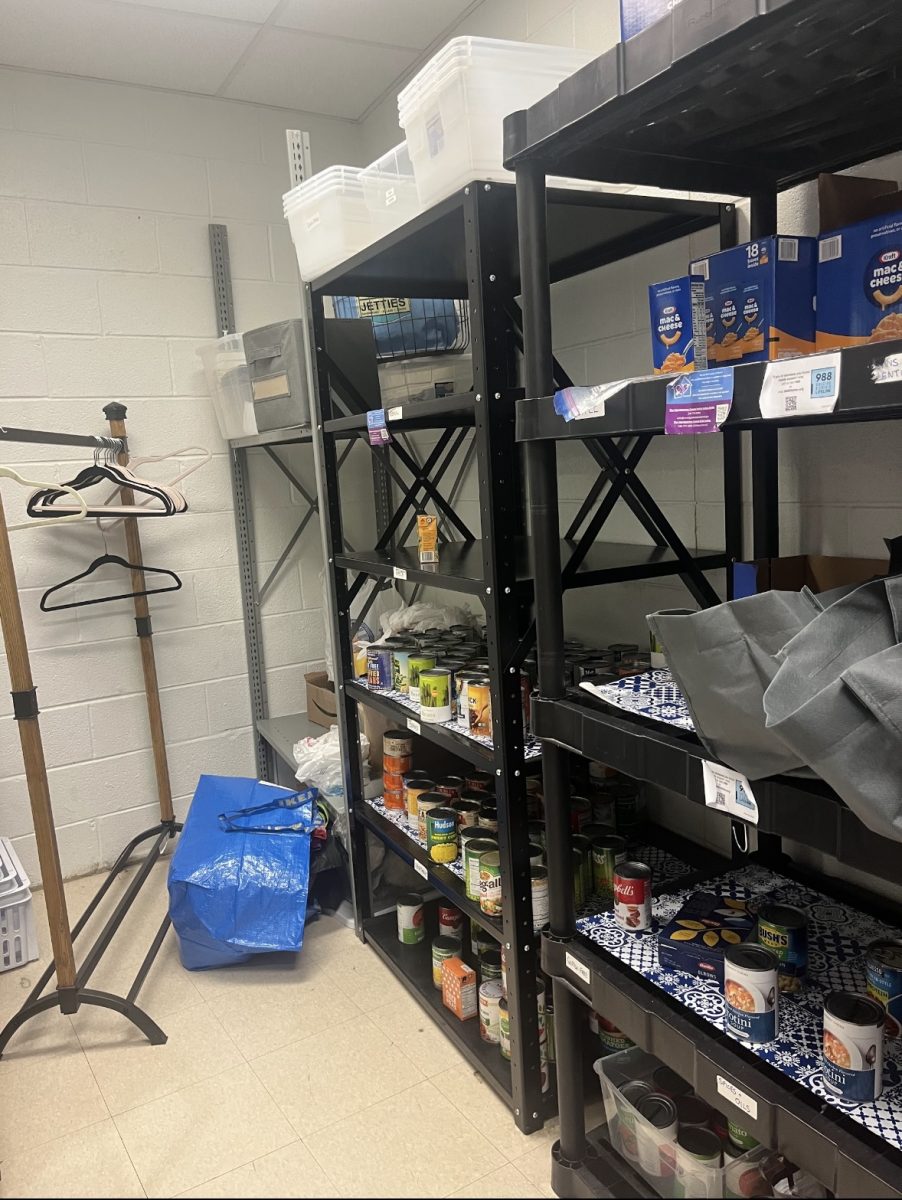 Here is the left side of the pantry BEFORE the renovation.